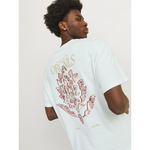 Jack & Jones Jornoto graphic back tee ss crew ne mint 5339.21.0137 large