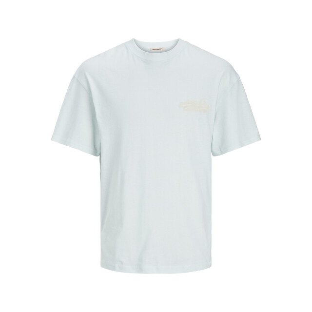 Jack & Jones Jornoto graphic back tee ss crew ne mint 5339.21.0137 large