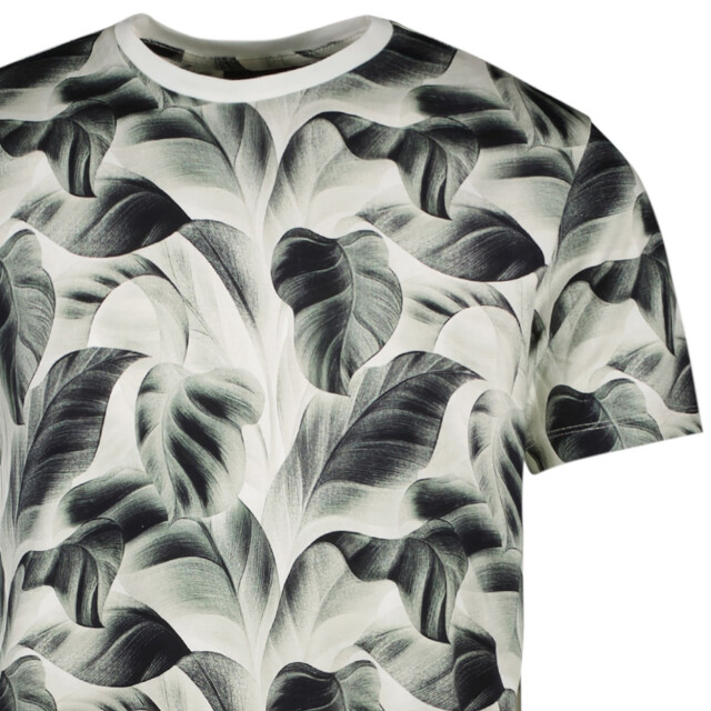 Cars Tipah ts moss dessin 5339.29.0348 large