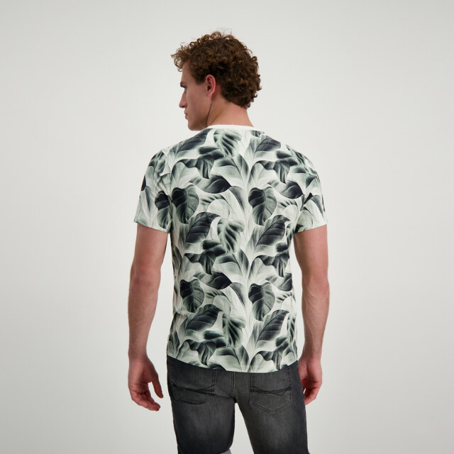 Cars Tipah ts moss dessin 5339.29.0348 large