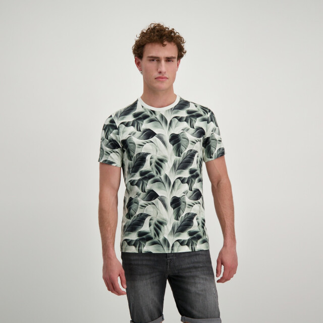 Cars Tipah ts moss dessin 5339.29.0348 large