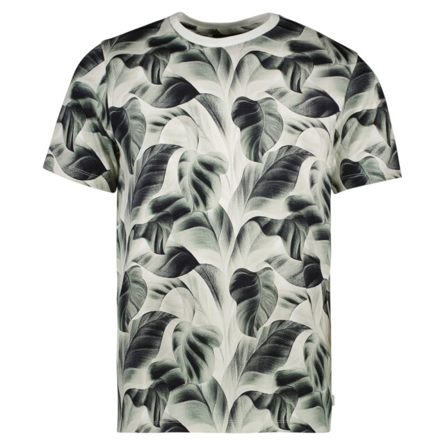Cars Tipah ts moss dessin 5339.29.0348 large