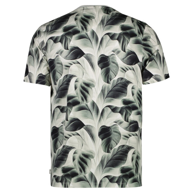 Cars Tipah ts moss dessin 5339.29.0348 large