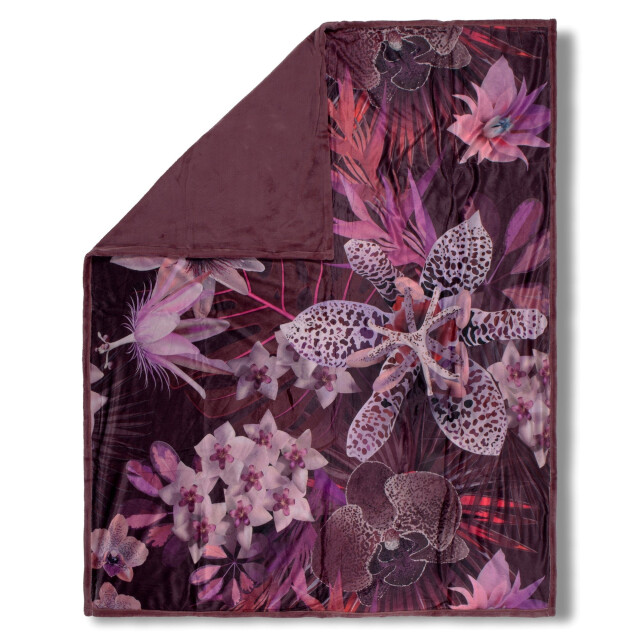 Descanso Kleed farze 130 x 160 cm 2309962 large