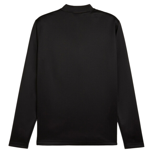Puma Teamgoal training 1/4 zip 131315 large