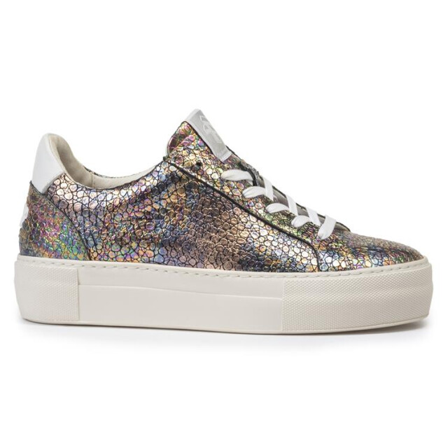 Floris van Bommel SFW-10059 Sneakers Print / Multi SFW-10059 large