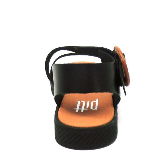 Pitt Amster Amster large