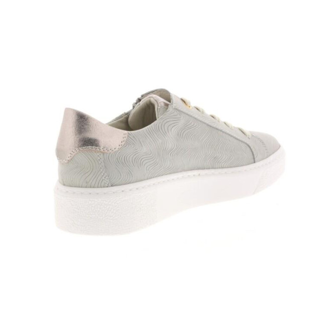 DL Sport 6208 6208 large