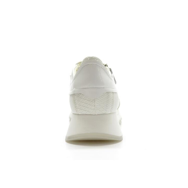 DL Sport 6202 6202 large