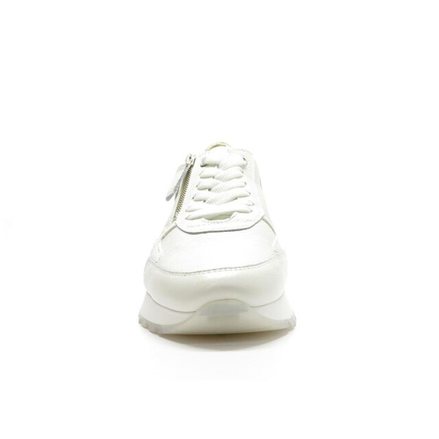 DL Sport 6202 6202 large