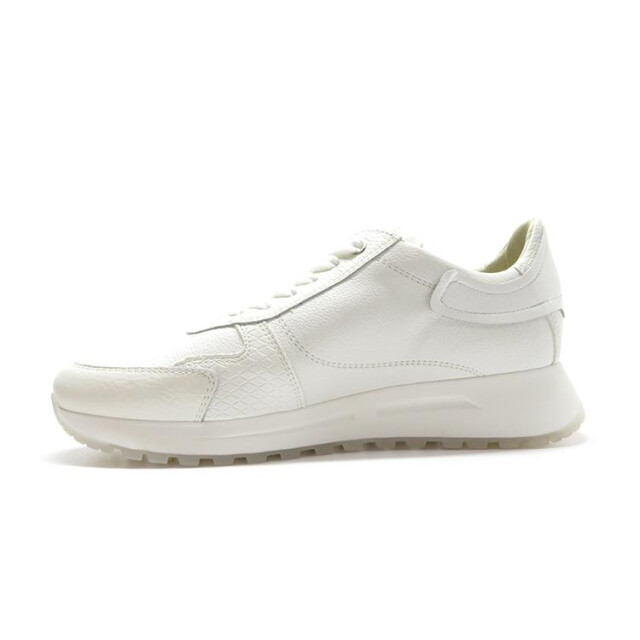 DL Sport 6202 6202 large