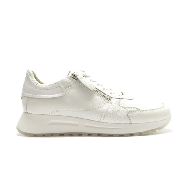 DL Sport 6202 6202 large