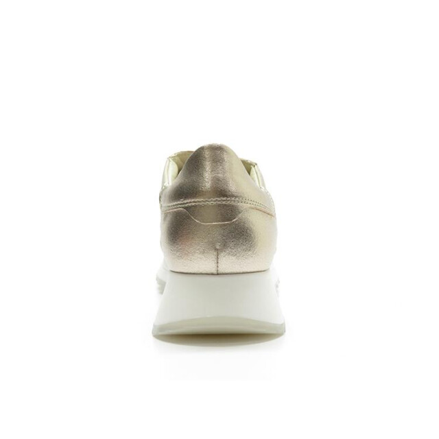 DL Sport 6203 6203 large