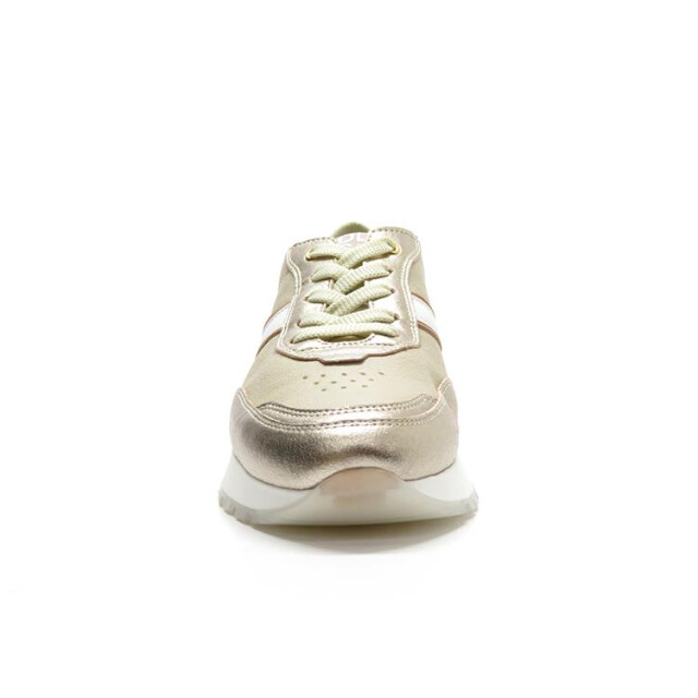 DL Sport 6203 6203 large