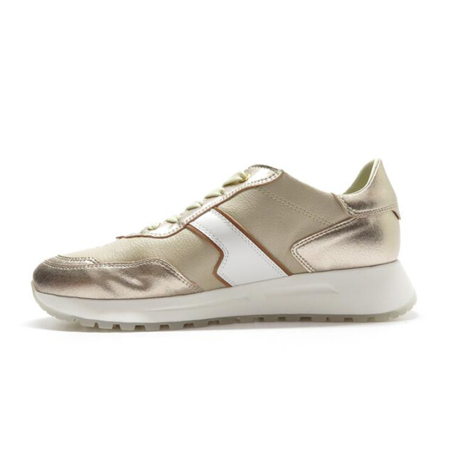 DL Sport 6203 6203 large