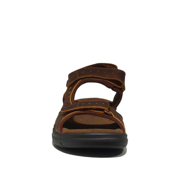 Panama Jack Salton Basics Sandalen Bruin Salton Basics large