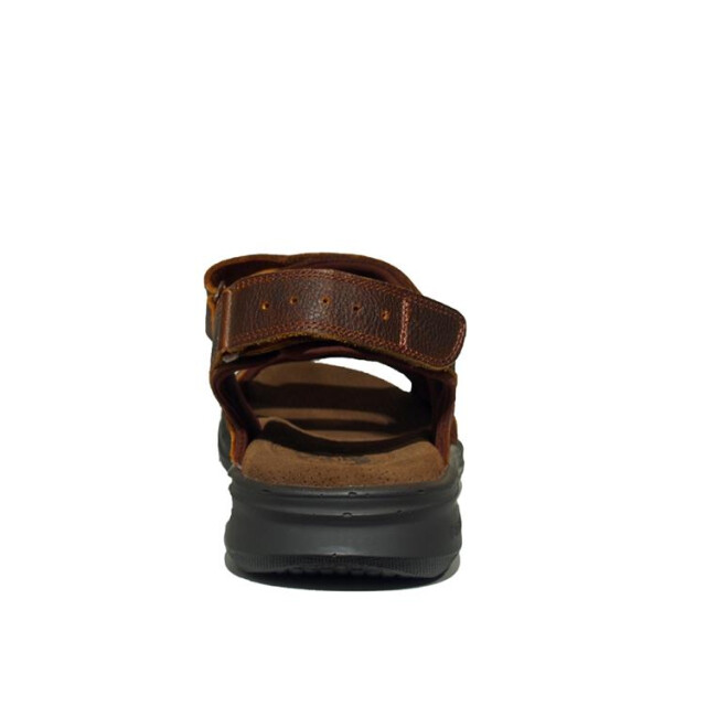 Panama Jack Salton Basics Sandalen Bruin Salton Basics large