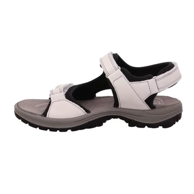 Rohde 5380 5380 large
