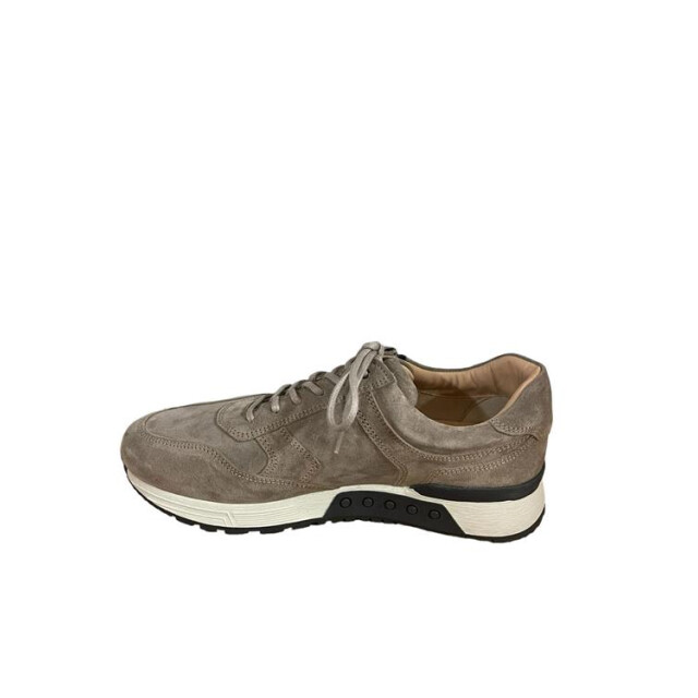Greve 4299.19 4299.19 large