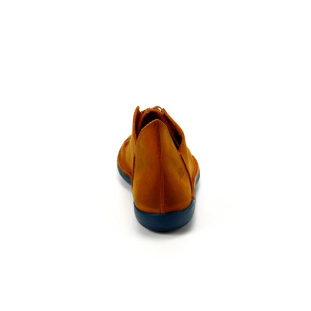 Loints of Holland 68095 68095 large