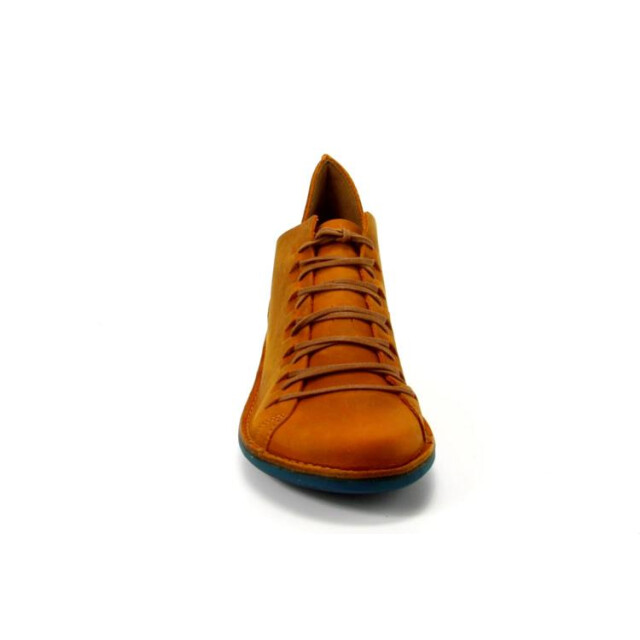 Loints of Holland 68095 68095 large