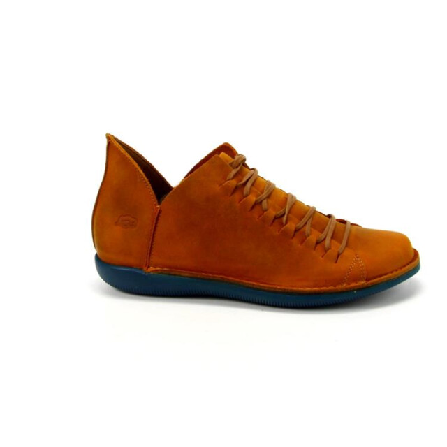 Loints of Holland 68095 68095 large