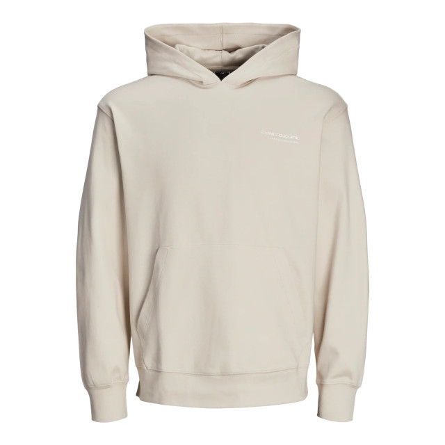 Jack & Jones Jcoaero print sweat hood 12260011 large