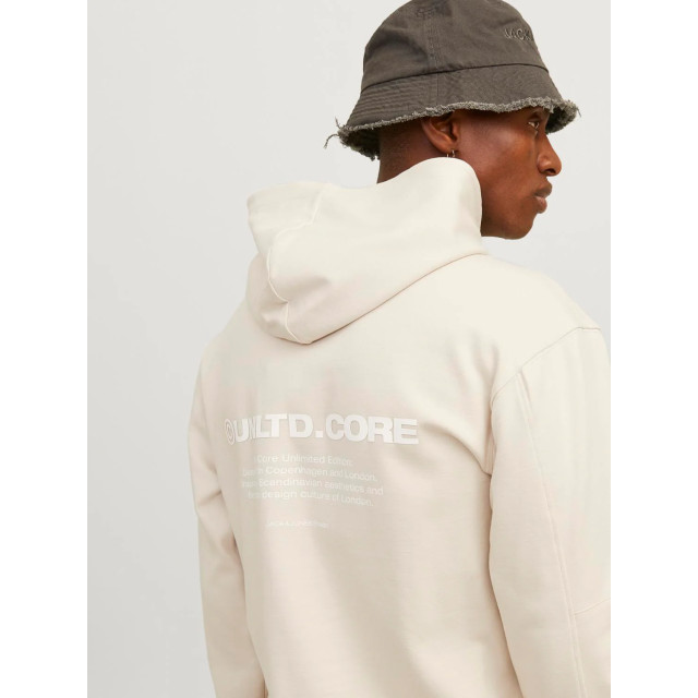 Jack & Jones Jcoaero print sweat hood 12260011 large