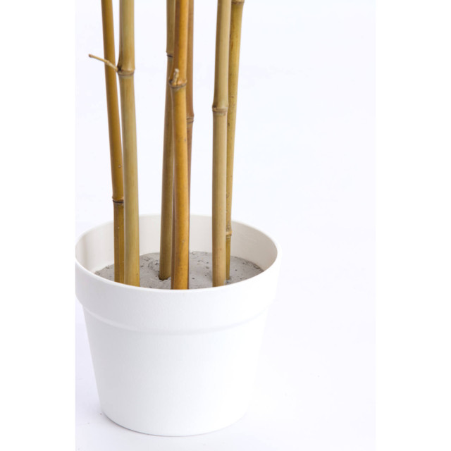 Light & Living kunstplant bamboo 70x60x150cm - 2883558 large