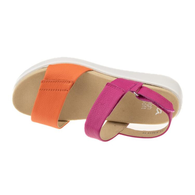 Ara 12-21401 12-21401 MADEIRA large