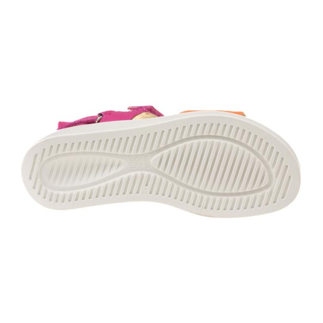 Ara 12-21401 12-21401 MADEIRA large