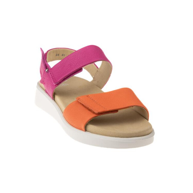 Ara 12-21401 12-21401 MADEIRA large