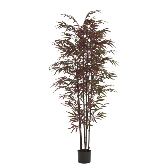 Light & Living kunstplant bamboo 70x60x180cm - 2911492 large