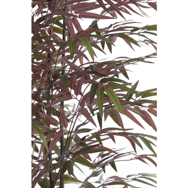 Light & Living kunstplant bamboo 70x60x180cm - 2911492 large