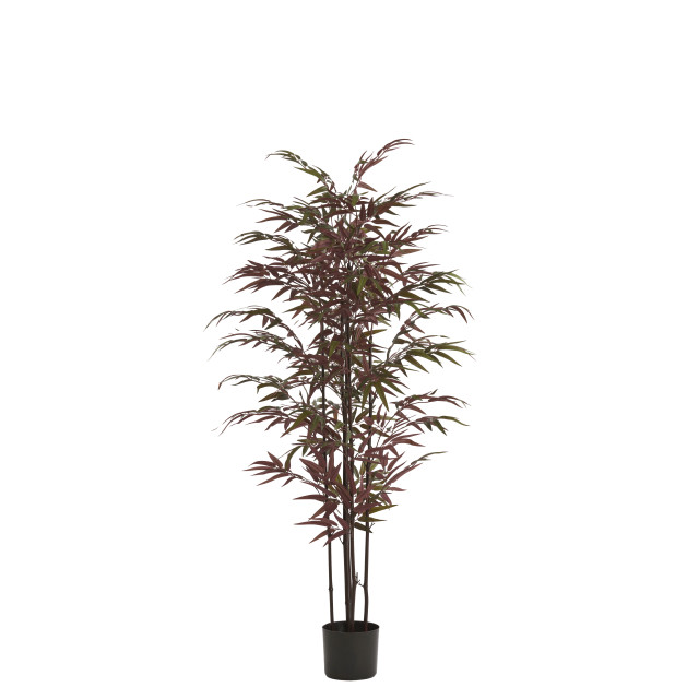 Light & Living kunstplant bamboo 70x60x150cm - 2911509 large