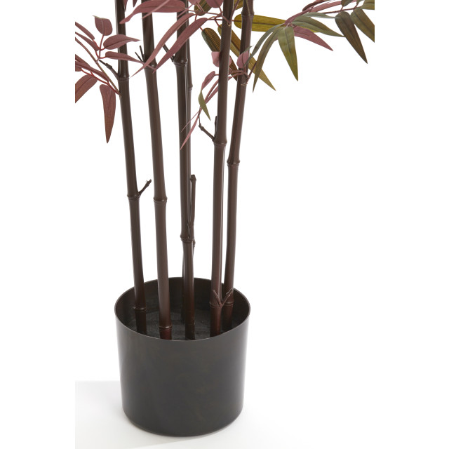 Light & Living kunstplant bamboo 70x60x180cm - 2911492 large