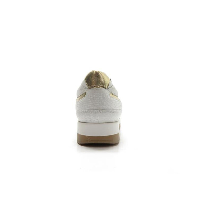Helioform 281.003 281.003 large