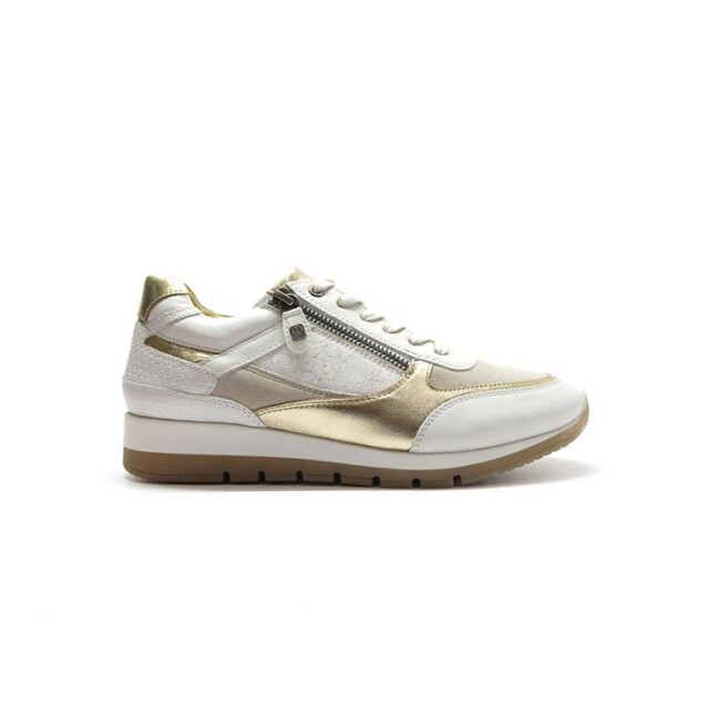 Helioform 281.003 281.003 large