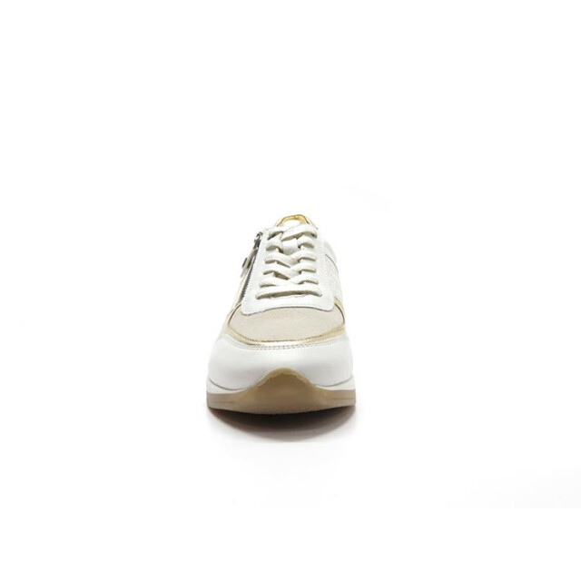 Helioform 281.003 281.003 large