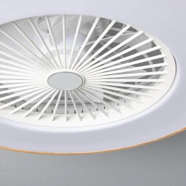Cool Breeze Plafondventilator agma met verlichting Ø58cm 6 snelheden afstandsbediening - 2906980 large