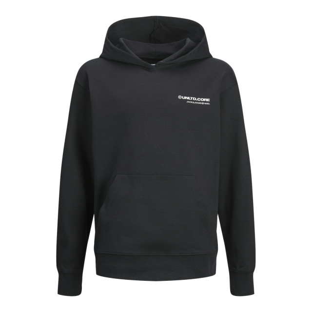 Jack & Jones Jcoaero print sweat hood jnr 12263302 large