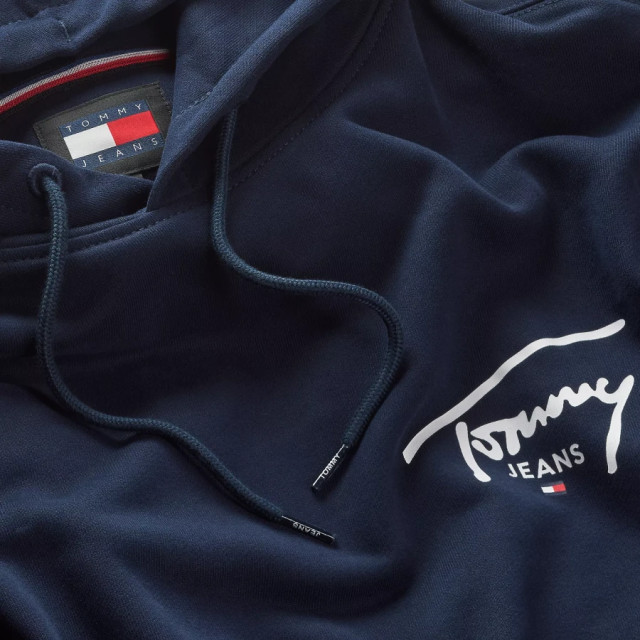 Tommy Hilfiger Dm0dm19229 entry graphic c1g sweater hoodie je C1G/DM0DM19229 Entry Graphic large