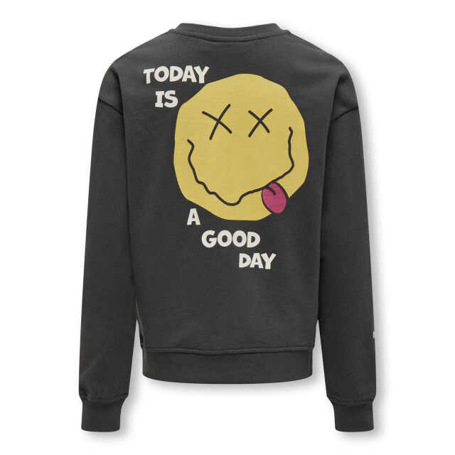 Only Koglissie l/s o-neck box swt 15331172 large