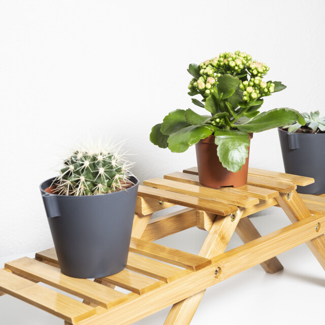 QUVIO Plantenstandaard met 3 planken bamboe 1395398 large