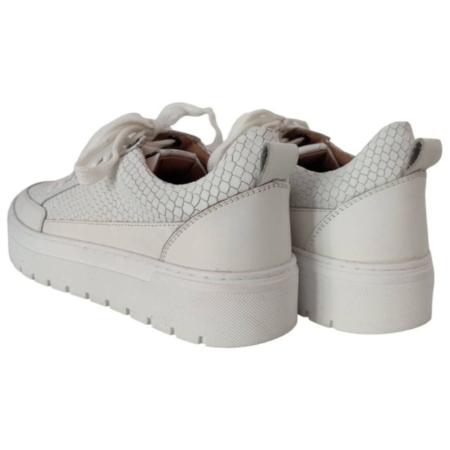 Poelman Lpvar sneaker LPVAR large