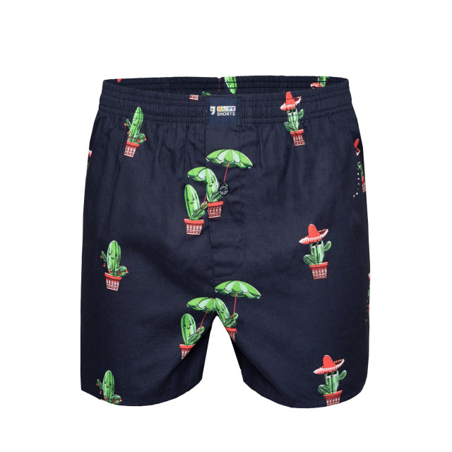 Happy Shorts X heren wijde boxershort met binnenbroek cactus print HS-X-355 large