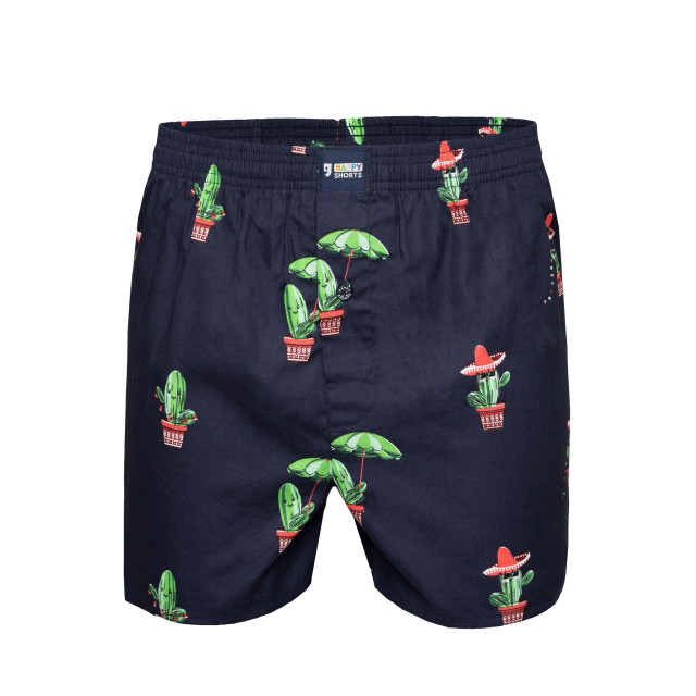 Happy Shorts X heren wijde boxershort met binnenbroek cactus print HS-X-355 large