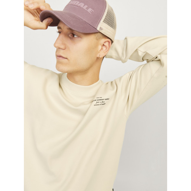 Jack & Jones Jprblachad branding sweat crew neck beige 5209.05.0029 large