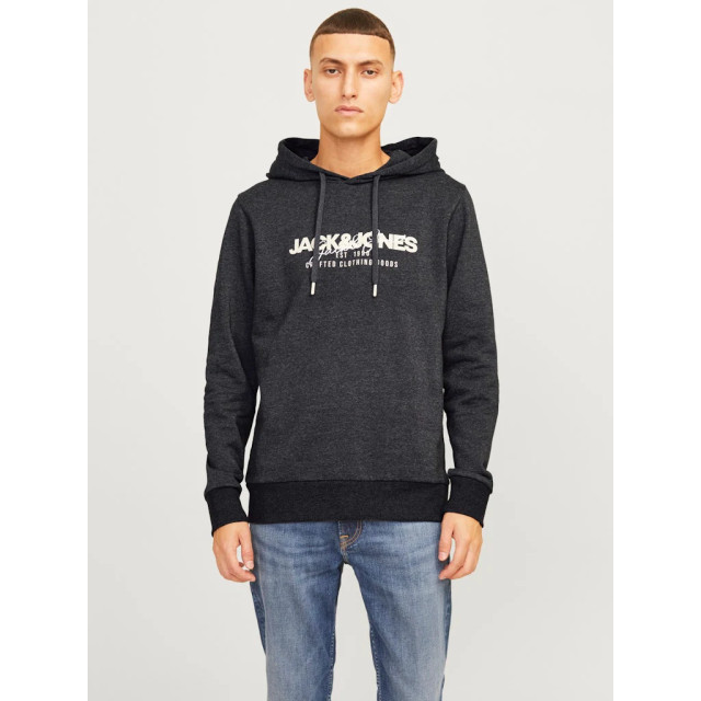 Jack & Jones Jjalvis sweat hood 12256848 large