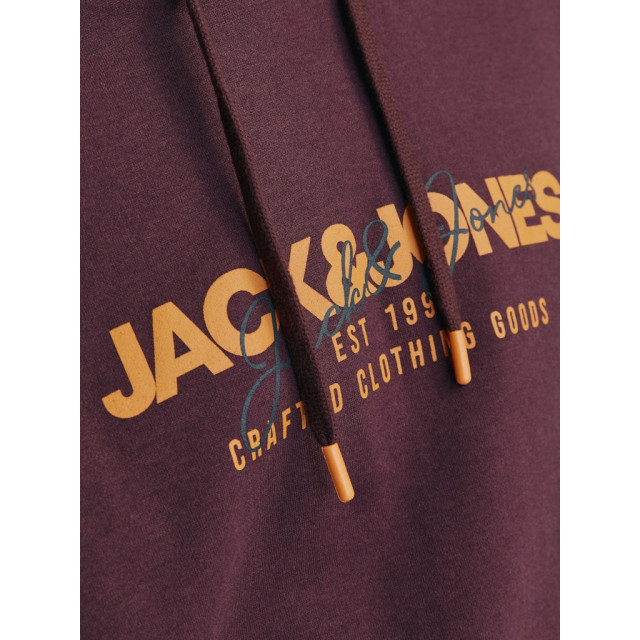 Jack & Jones Jjalvis sweat hood 12256848 large